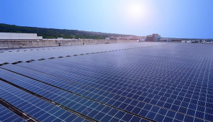 中美硅晶与lehu乐虎88光电携手战略合作